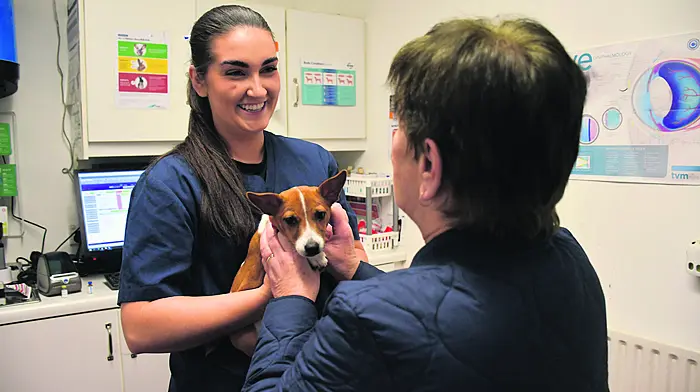 Better technology and healthier pets making the vet’s job a little easier Image