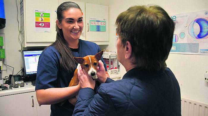 Better technology and healthier pets making the vet’s job a little easier Image