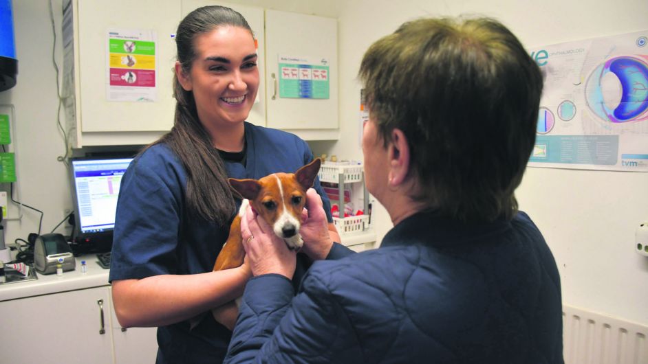 Better technology and healthier pets making the vet’s job a little easier Image
