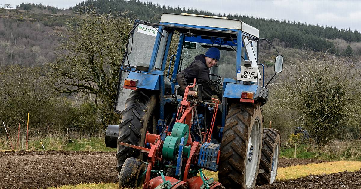 PHOTO SPECIAL: West Cork Ploughing Finals | Southern Star