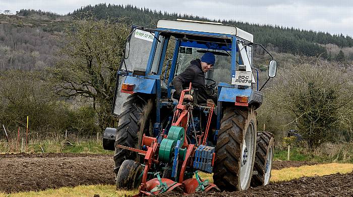 PHOTO SPECIAL: West Cork ploughing finals Image