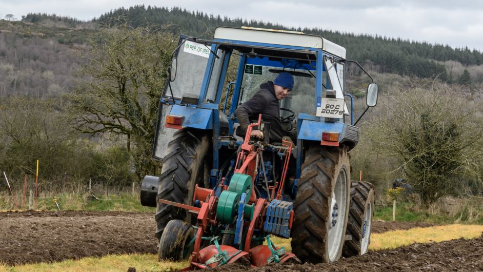 PHOTO SPECIAL: West Cork ploughing finals Image