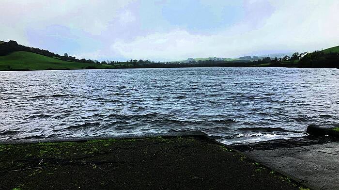 Irish Water and Council both refusing to remove car submerged in local lake Image