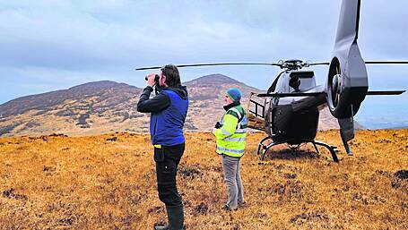 IFA says gorse fires were ‘dangerous and foolish’ but back ‘safe’ burning Image
