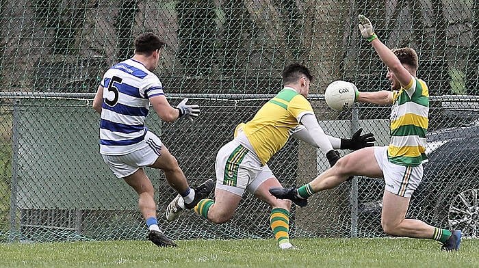 Castlehaven lay down marker in Division 1 opener Image