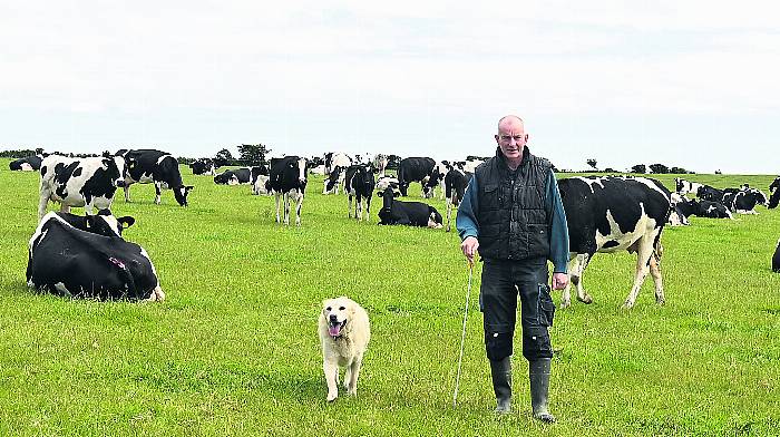 The complications of Long Covid force Harold out of dairy farming Image