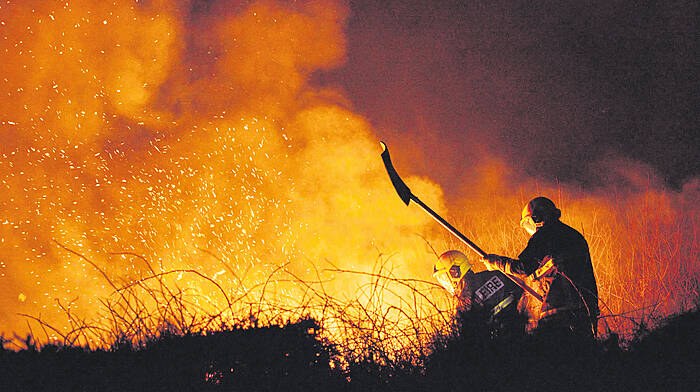 Review of firefighters’ pay is called for in aftermath of 71 gorse fires in West Cork Image