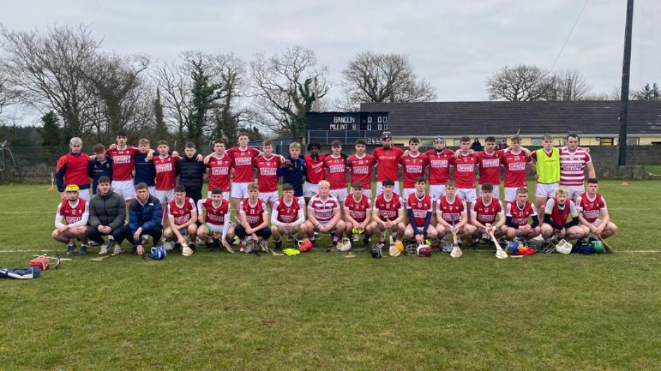 Hammies' hurlers are ready for final flourish Image