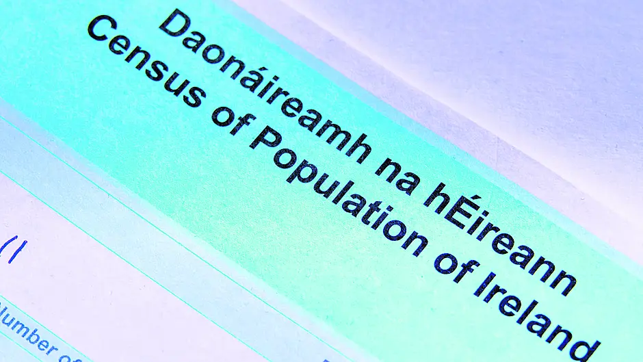 Census field worker was in fear after encounter with Garrylucas pensioner Image