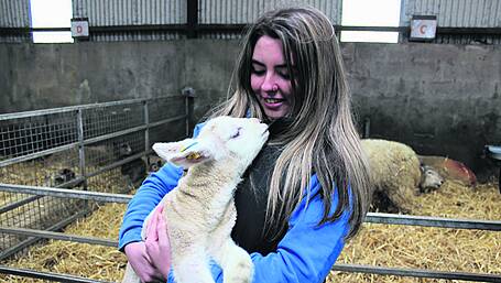 Ag Science students get a real  ‘hands-on’ taste of farming life Image