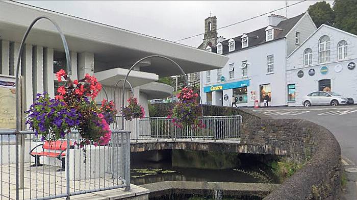 Funding for Bantry library Image