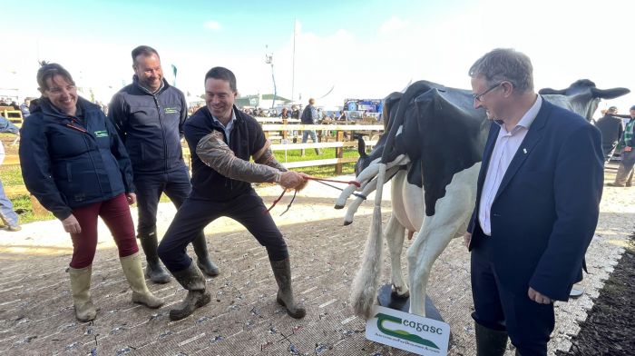 Clonakilty pulling power pays off with new calving simulator Image