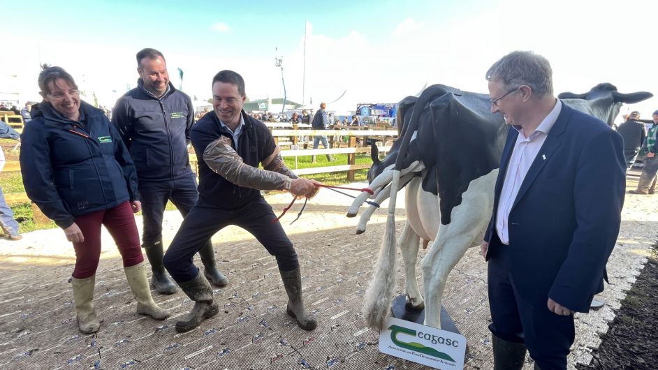 Clonakilty pulling power pays off with new calving simulator Image