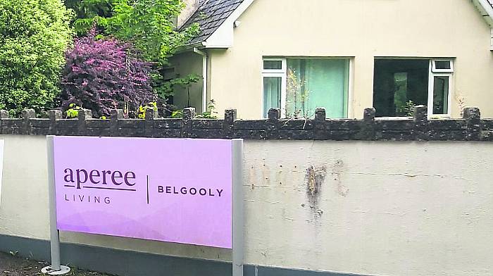 Gardaí asked to start probe into Aperee Image