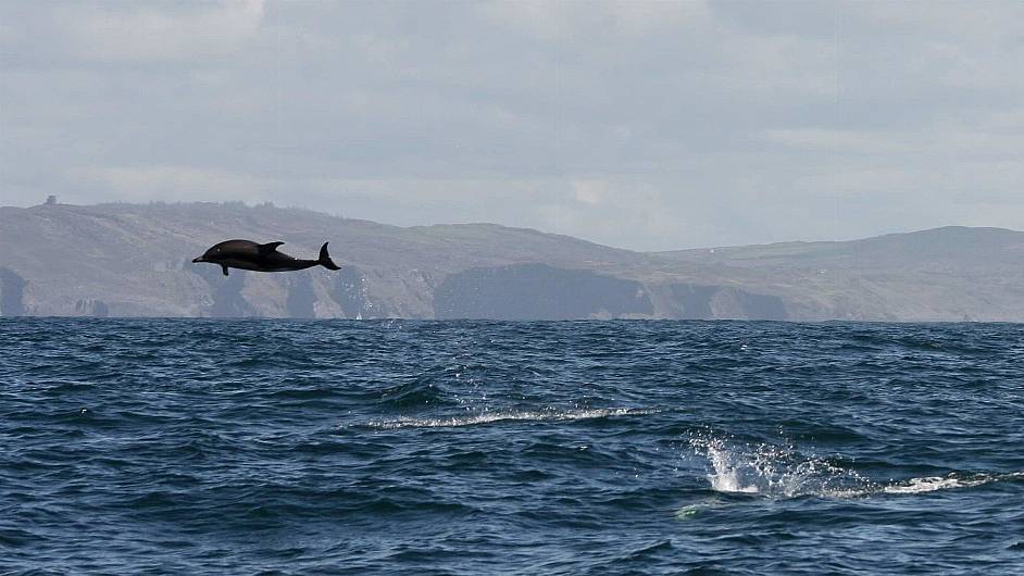 Marine group wants more areas around coast to have protection Image