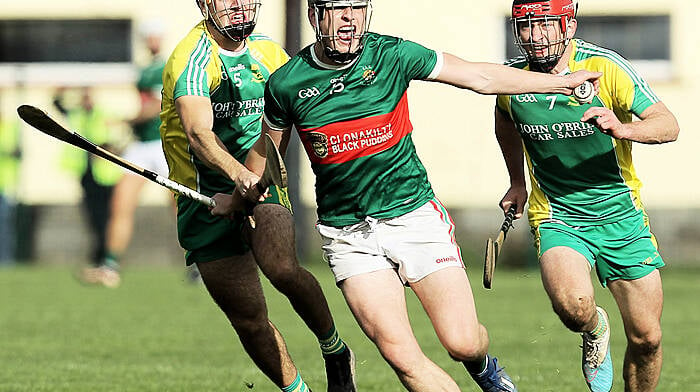 White brothers fire Clonakilty hurlers to league win Image