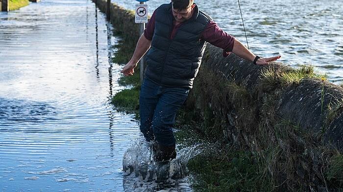 Tidal flooding in Rosscarbery and Timoleague Image