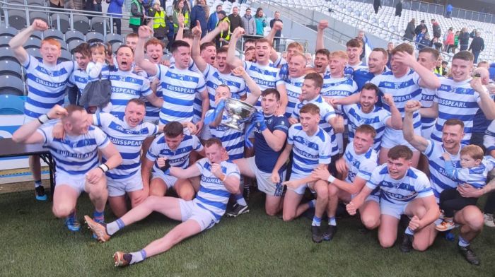 Castlehaven win Cork premier senior football championship Image