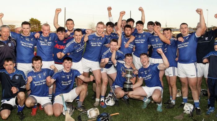 Sheedy swings Junior B final for Bantry Blues Image