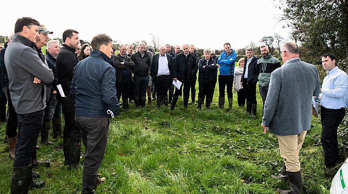 Farmers’ last ditch bid to sway Minister Image