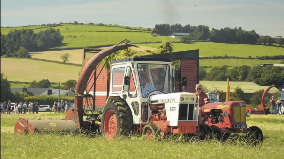 FARM CLASSICS: David Brown 1210 a small but mighty operator Image