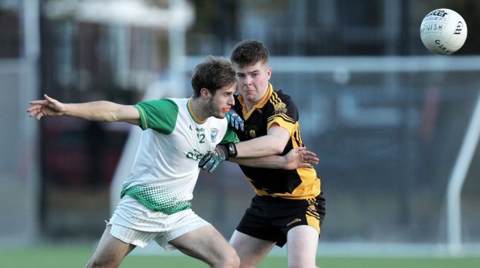 Garnish and Goleen set to face off in County Semi-Final Image