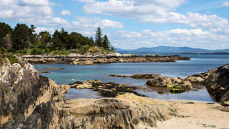 Group calling for laws to protect ocean life Image