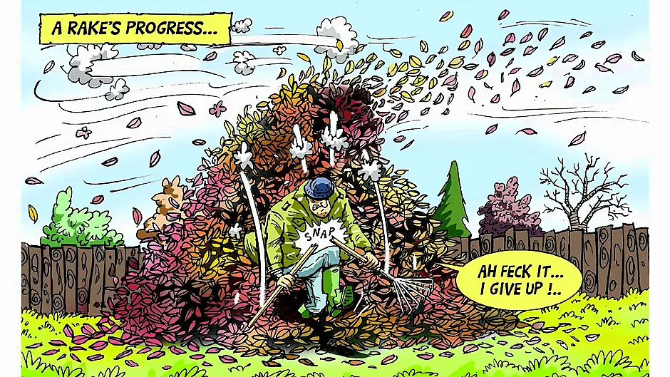 COLM TOBIN: Feeling bombarded by mother nature’s falling feathers? Just leaf it with me! Image