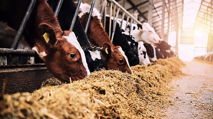 Around 8% of farmers dont have enough winter feed Image
