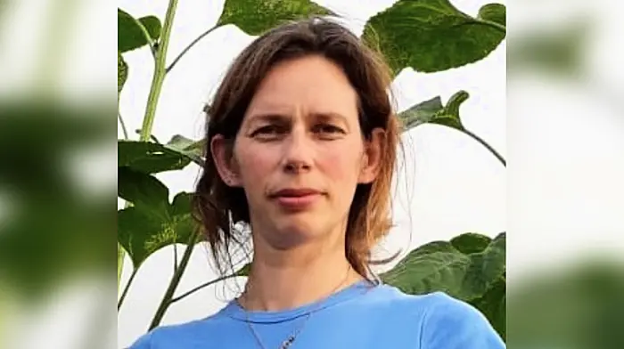 Trial of husband accused of murdering Leap woman collapses again Image