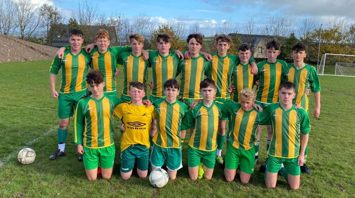 Ardfield U16 one step from national stages of cup Image