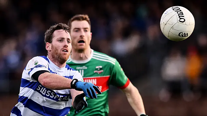 ‘It’s a dream to play in a Munster final and have a crack off Dingle,' says Castlehaven boss James McCarthy Image