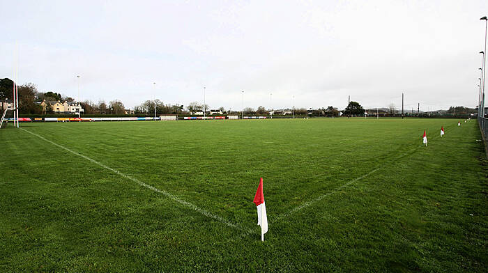 'This is probably the biggest game that has ever been played in the Rossa Park to date' Image