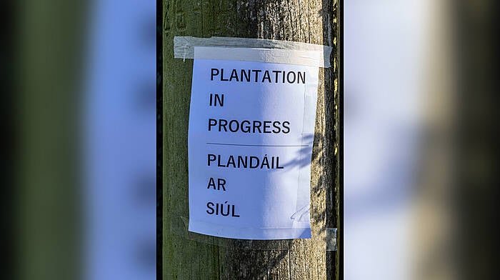 'Plantation' posters appeared overnight in Timoleague Image