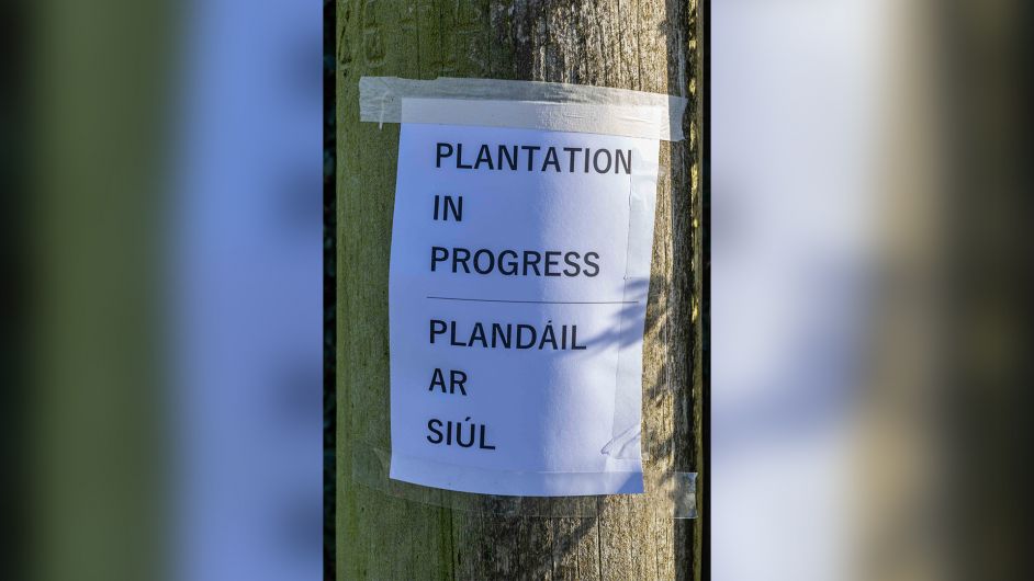 'Plantation' posters appeared overnight in Timoleague Image