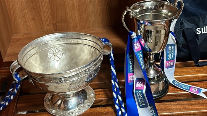 Three reasons why Haven were crowned Munster champions Image