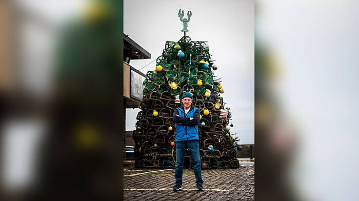 Boiling mad over lobster pot tree! Image