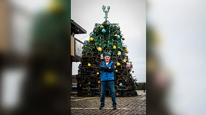 Boiling mad over lobster pot tree! Image