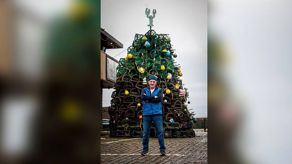 Boiling mad over lobster pot tree! Image