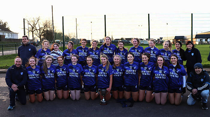 Super-sub Faye inspires Bantry Blues to county minor title Image