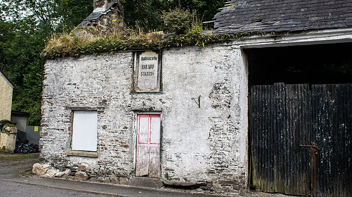 Department denies knowledge of backlog in derelict property grants Image