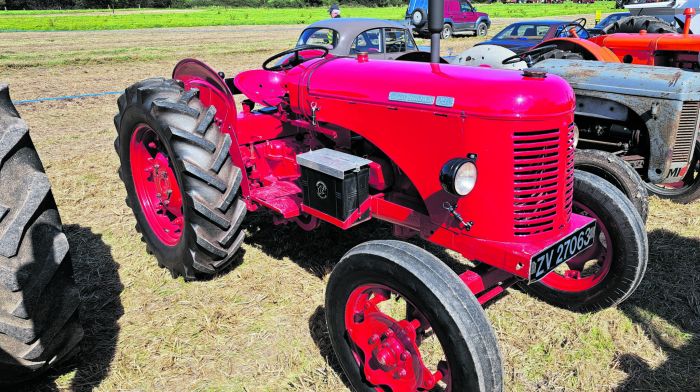 FARM CLASSICS: David Brown 25D punched well above its weight Image