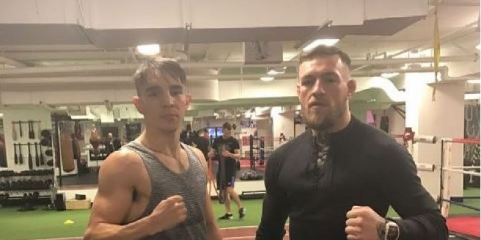Conor McGregor Works On The Ba...