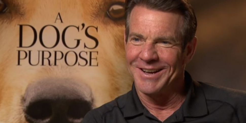 Dennis Quaid Talks 'A Dog&...