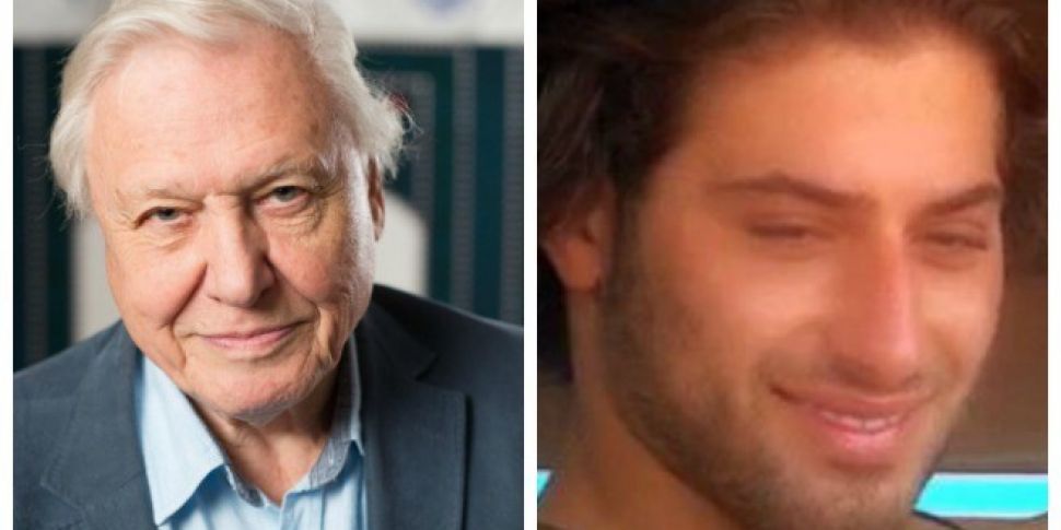 Watch David Attenborough Narrate Love Island 2017 Spin1038