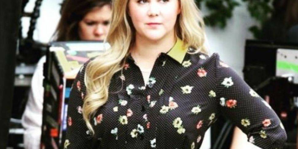 Amy Schumer Lands Role in Broa...