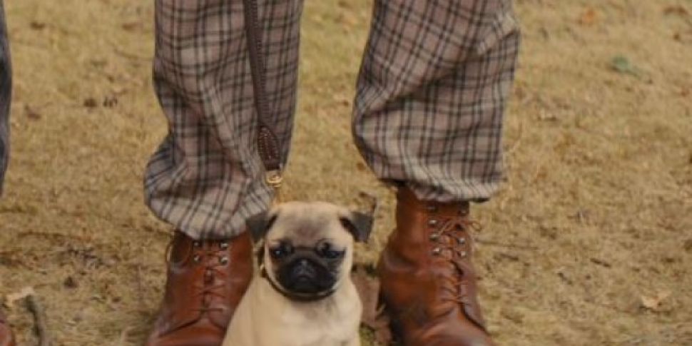 The Pug From Kingsman Bossed T...