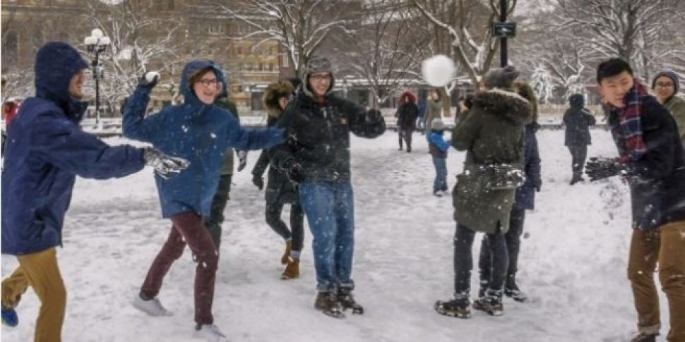 Snowball Fight Proposed On Fac...