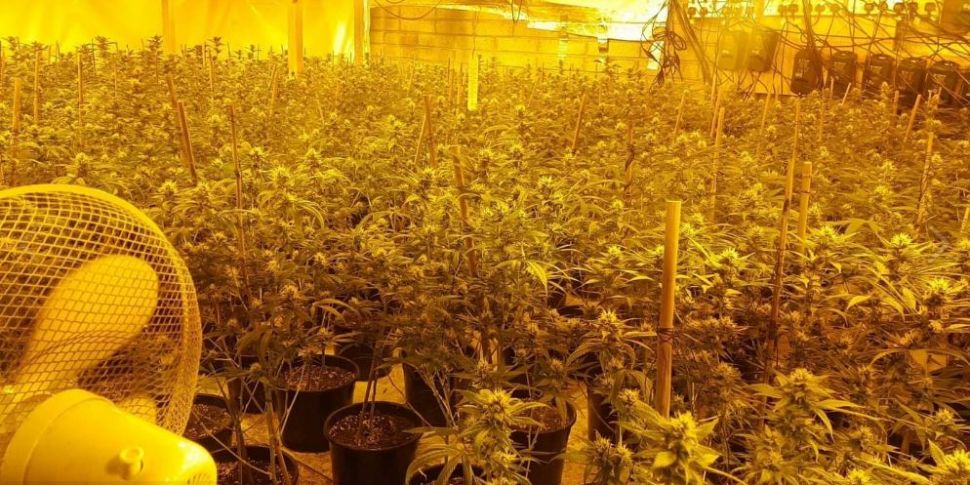 Cannabis Grow House Worth €800...