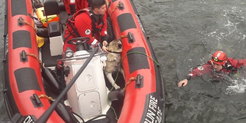 Two People And A Dog Rescued F...